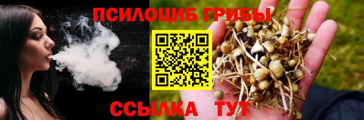 Псилоцибиновые грибы прущие грибы Карачаевск